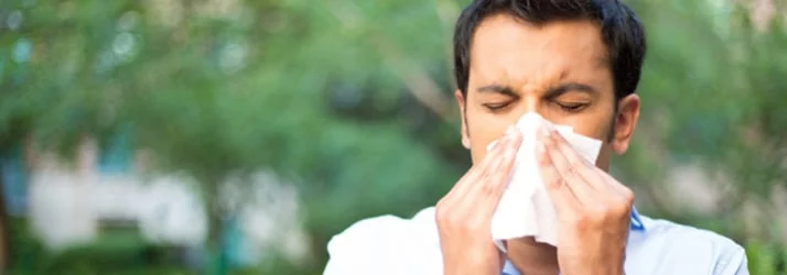 How A Chiropractor Can Help with Allergies in Shawnee KS